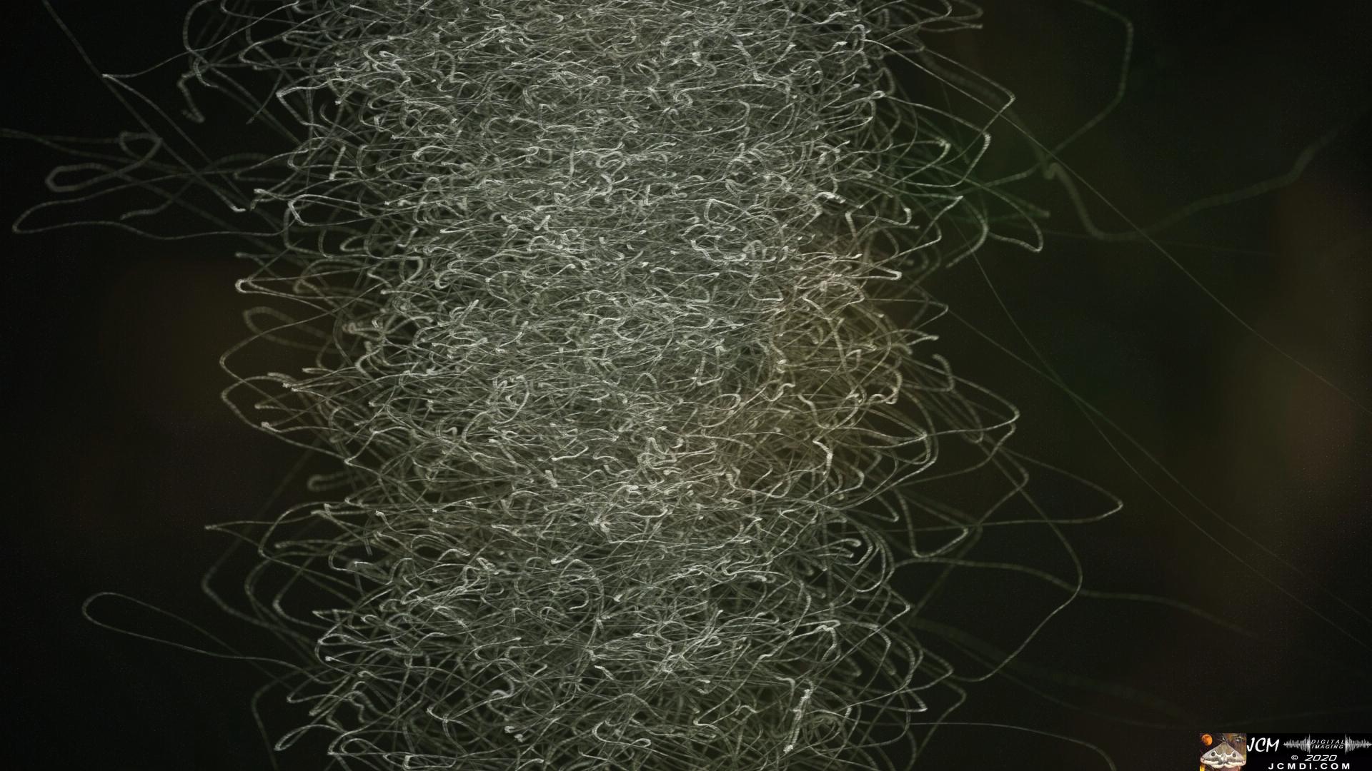 V25070b Tornado Bugs frames 1-499 IRV G.47, composite NoDK 0449